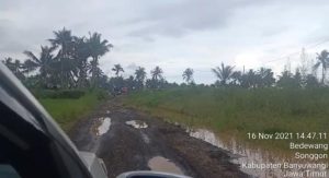 IMG-20211118-WA0028
