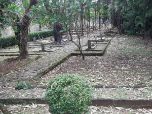 IMG-20211201-WA0004